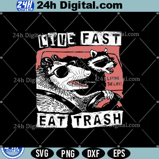 Trash Panda PNG Clipart